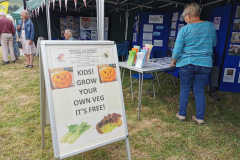 1_food-festival-3