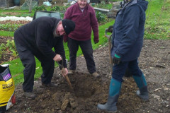 hub-planting-4