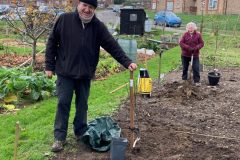 hub-planting-5-scaled-e1648121546629