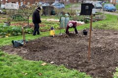 hub-planting-6-scaled-e1648121515589