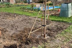 hub-planting-7-scaled-e1648121492588