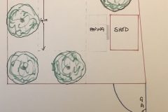 Tree plan