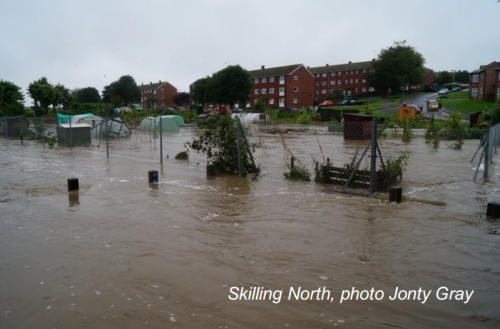 Skilling North by Jonty