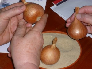 P1010174