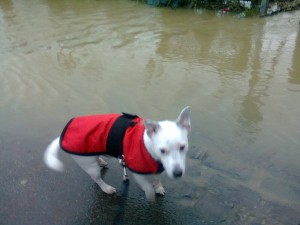 Photo0139
